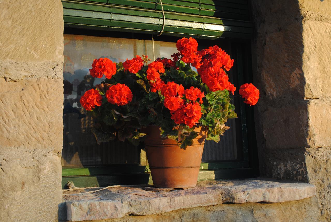 Guara Rural Guest House Panzano Екстериор снимка